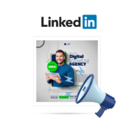 Sponsorizzata Linkedin