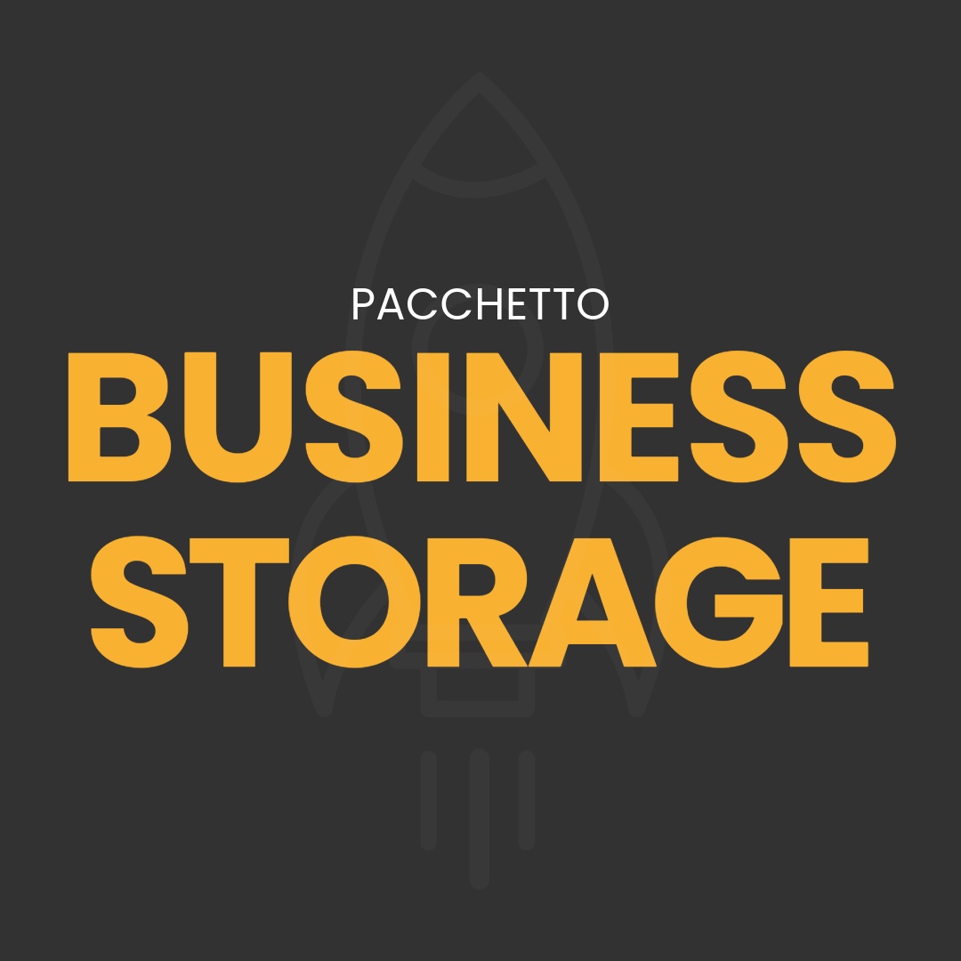 Business Storage